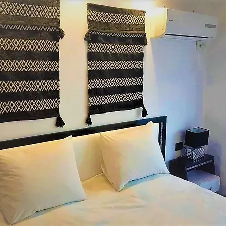 Arts - Beautiful For 8 Persons 大特尔诺沃